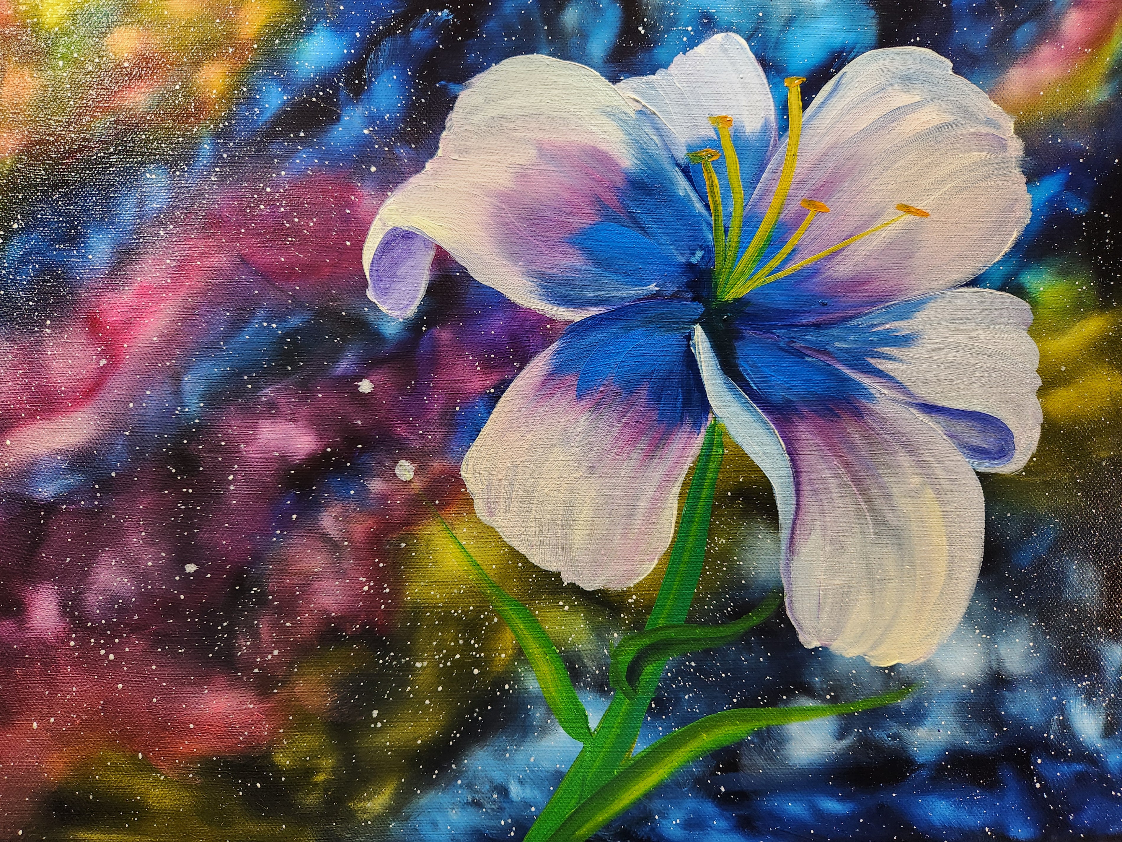 Cosmic Flowers I